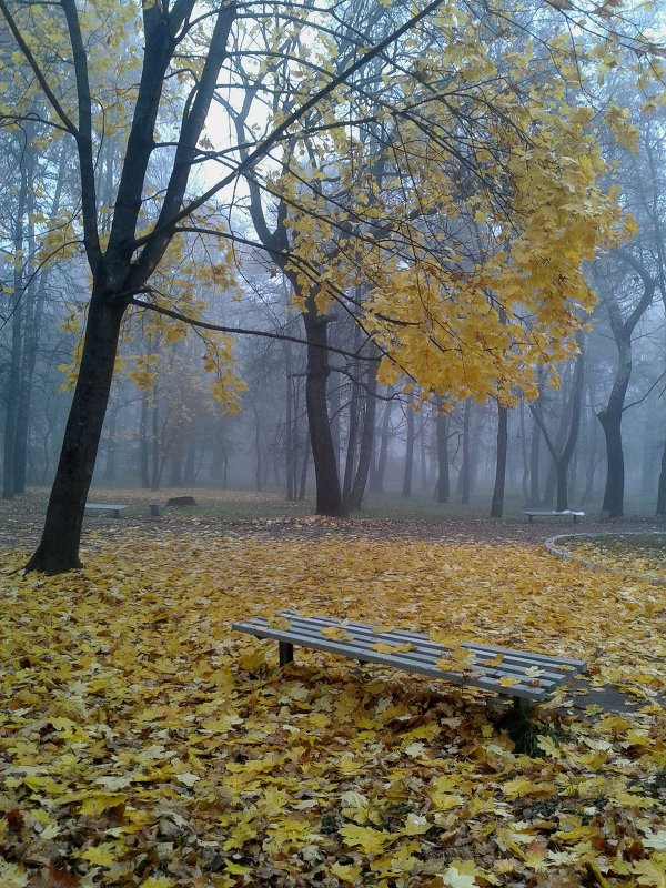 парк - Валентина Береснева