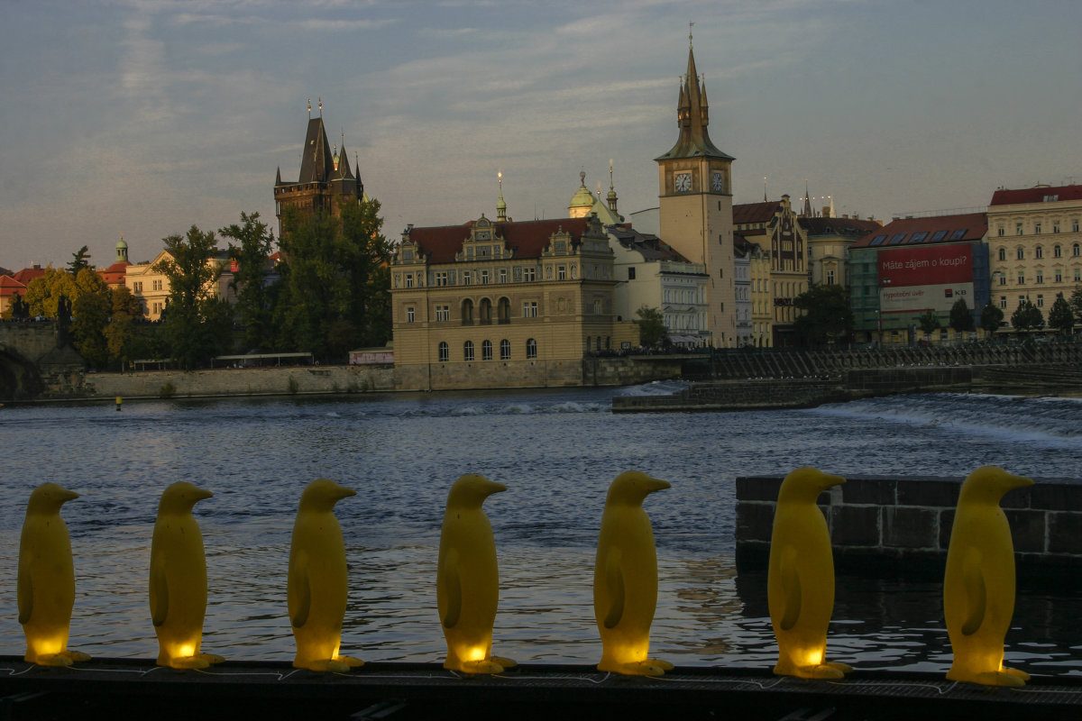 Пингвины в Праге. - Сергей Глотов