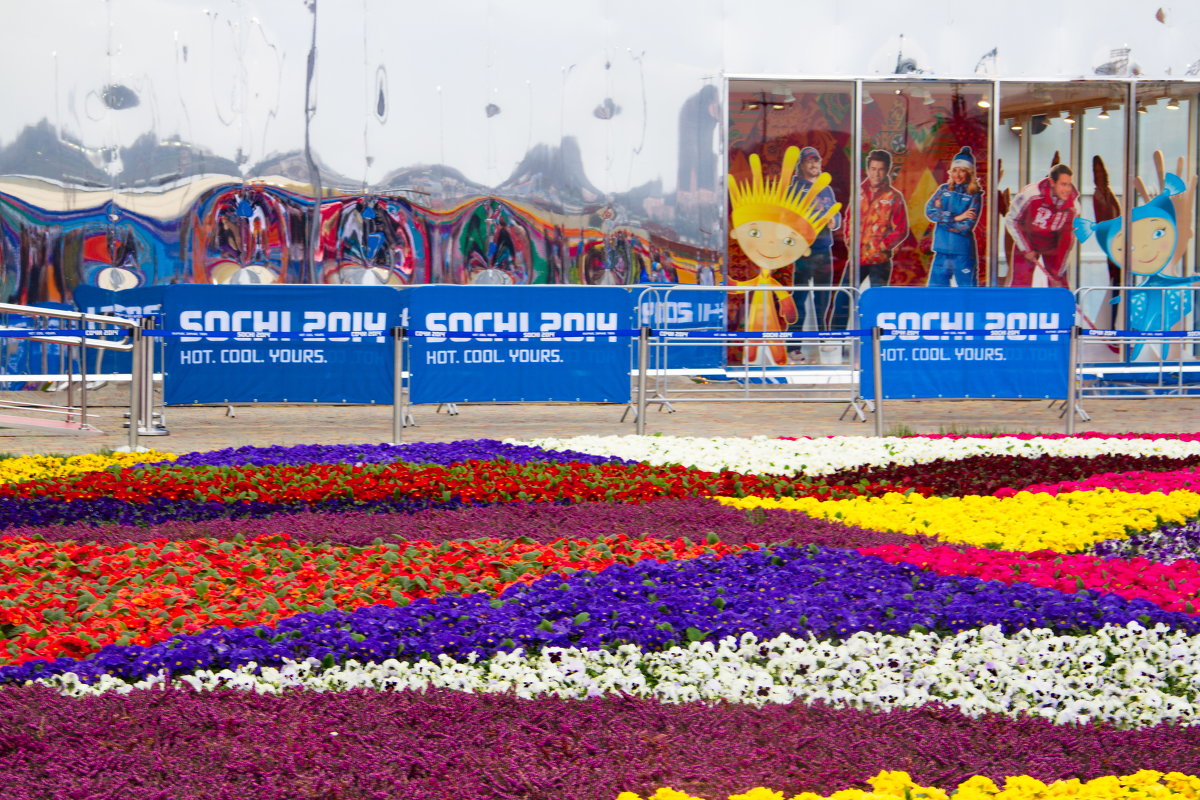 Цвета и цветы Олимпийского парка - Татьяна Копосова