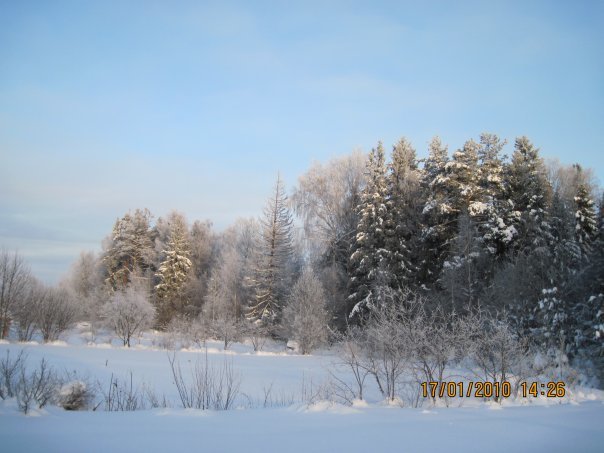 Зима - Таня 