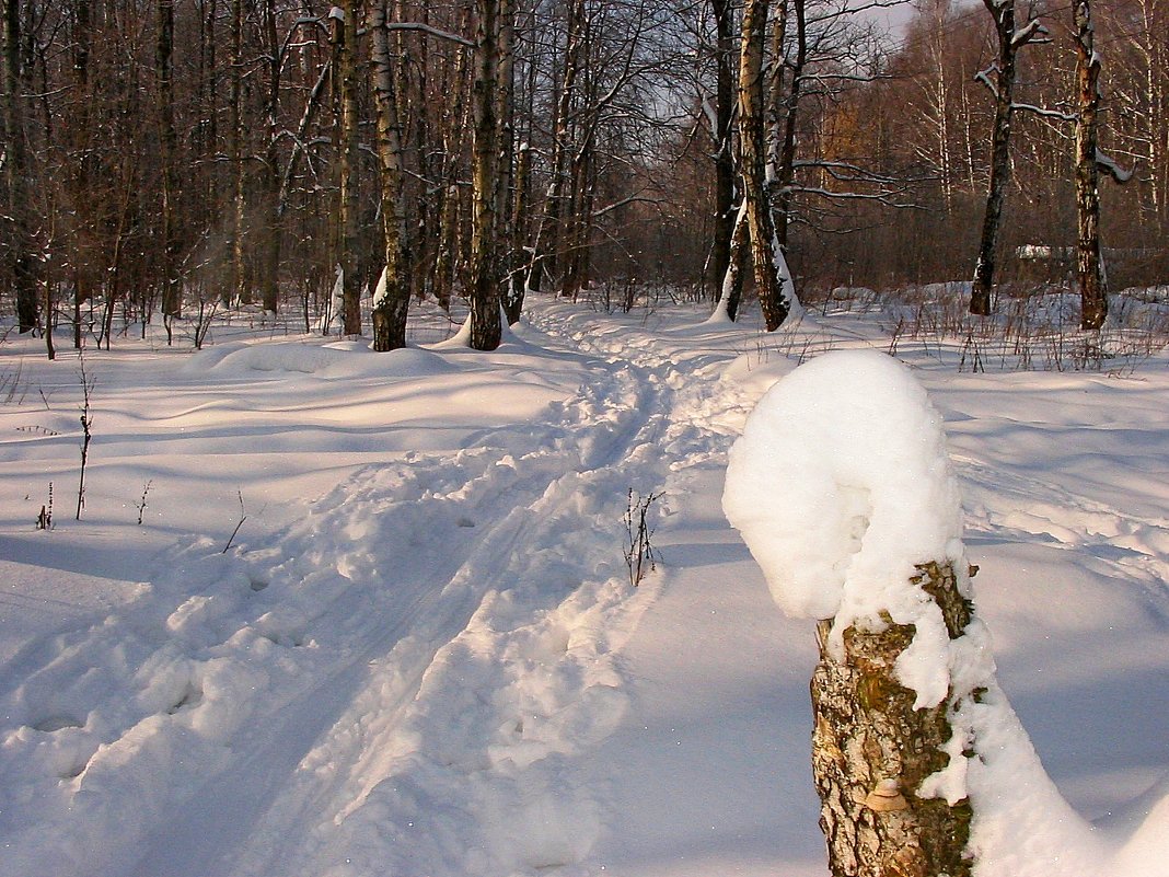 Зима - Владимир Воробьев