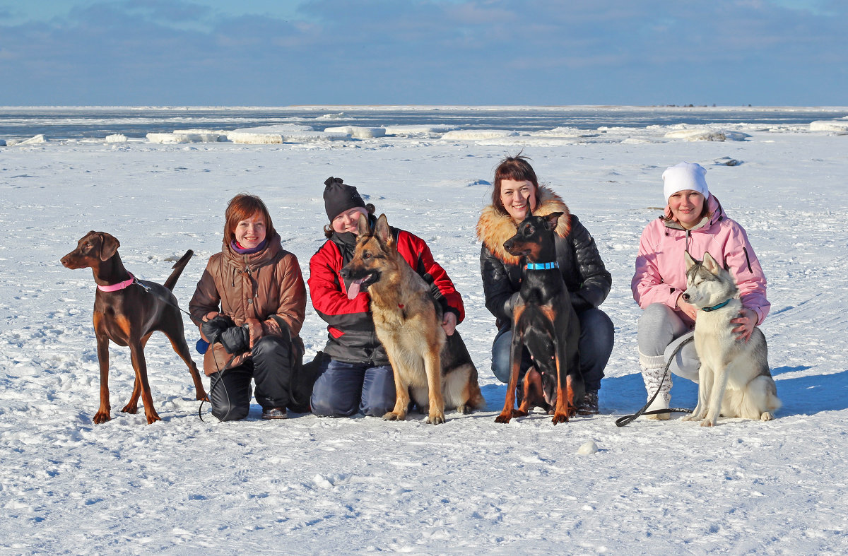 Белое море, женщины и их милые друзья - Владимир Шибинский