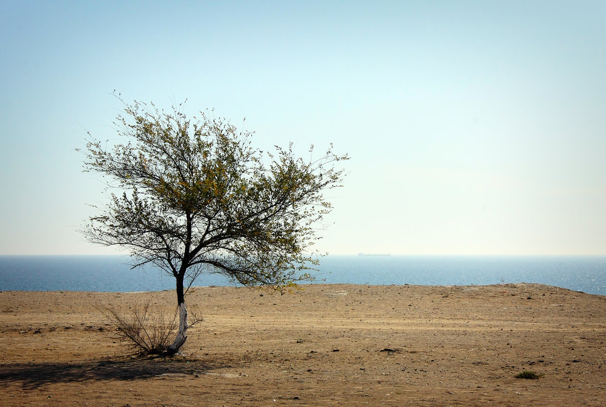 loneliness - Sergey Shcheblykin