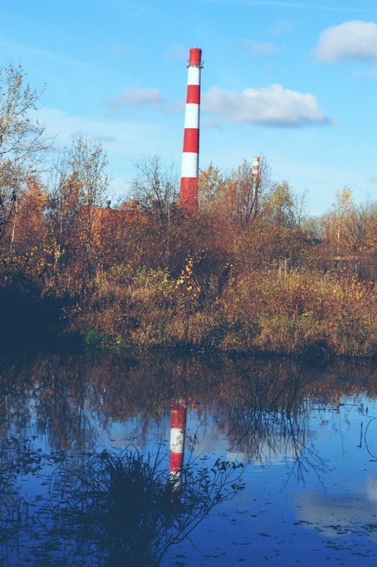 Water-mirror - Annette Miller