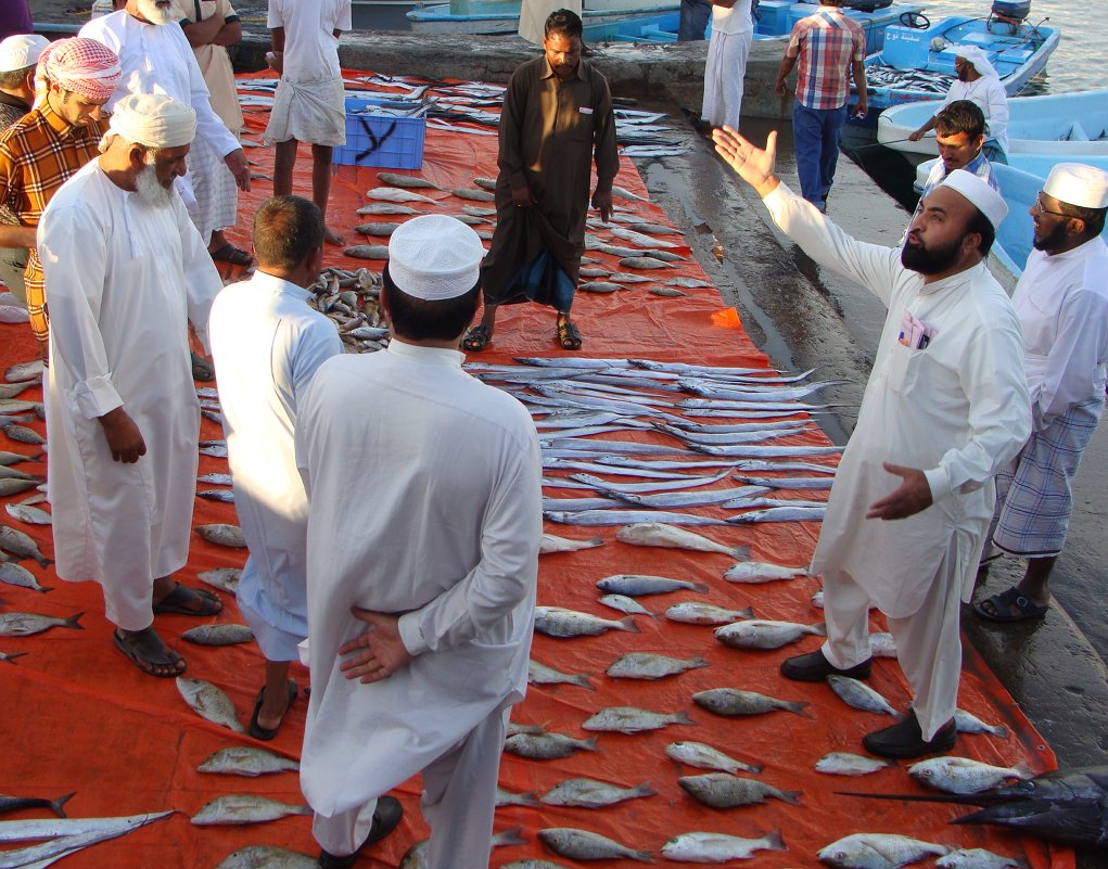 Рыбный базар в Омане - Елена Байдакова