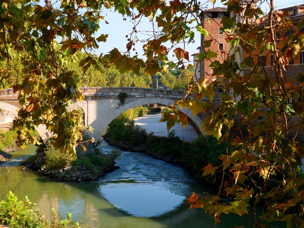 Ponte Fabricio. Roma - Anna Lepere