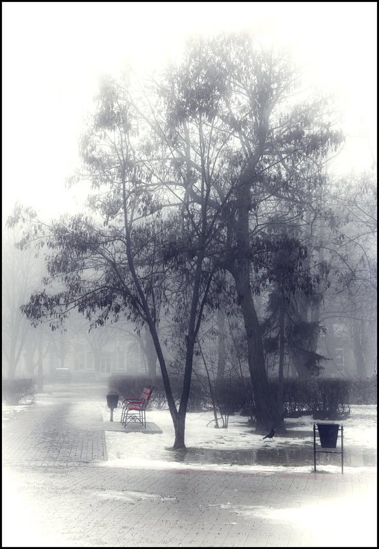 Лёгкий туман - Александр Костенко