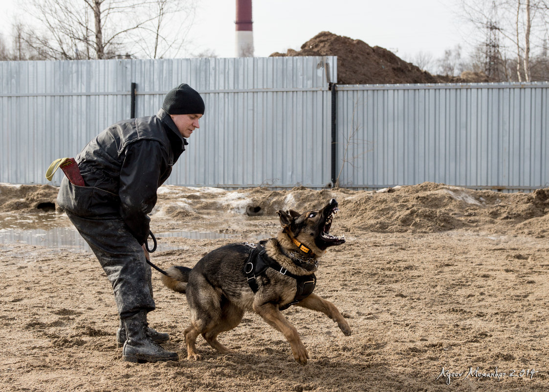 * - Александр Агеев