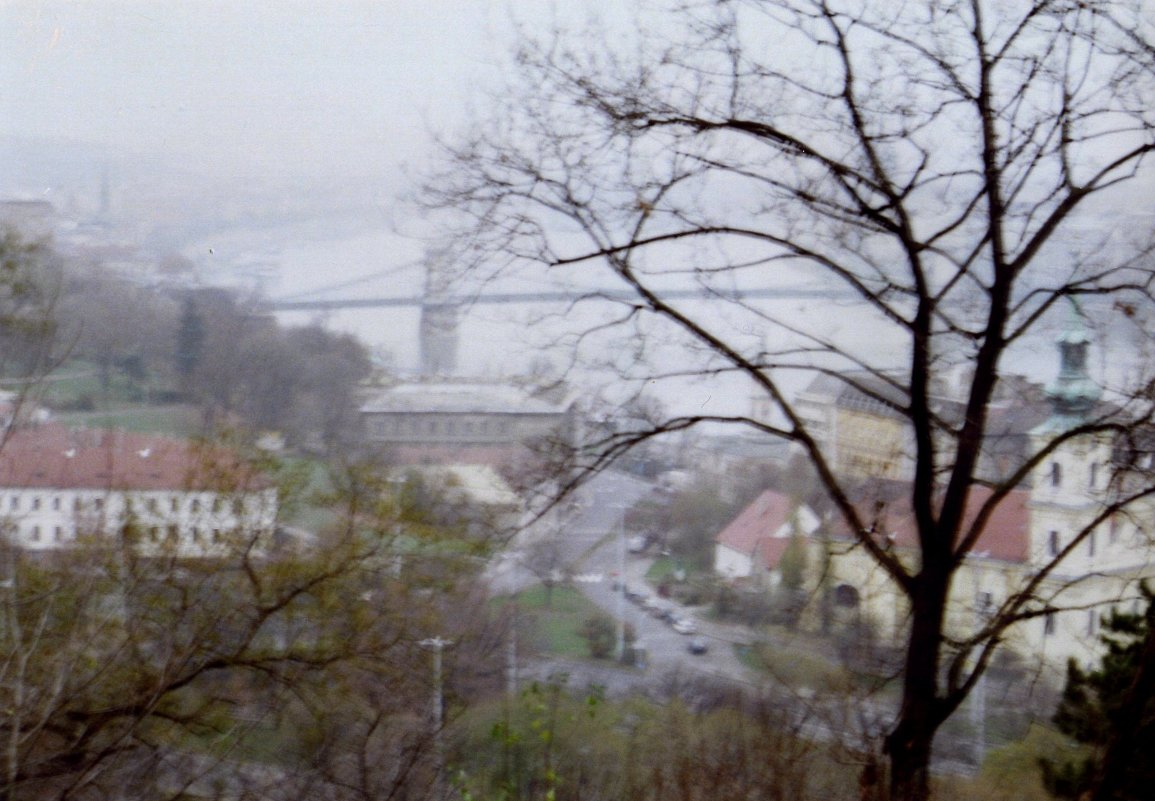 Будапешт в пасмурную погоду - anna borisova 
