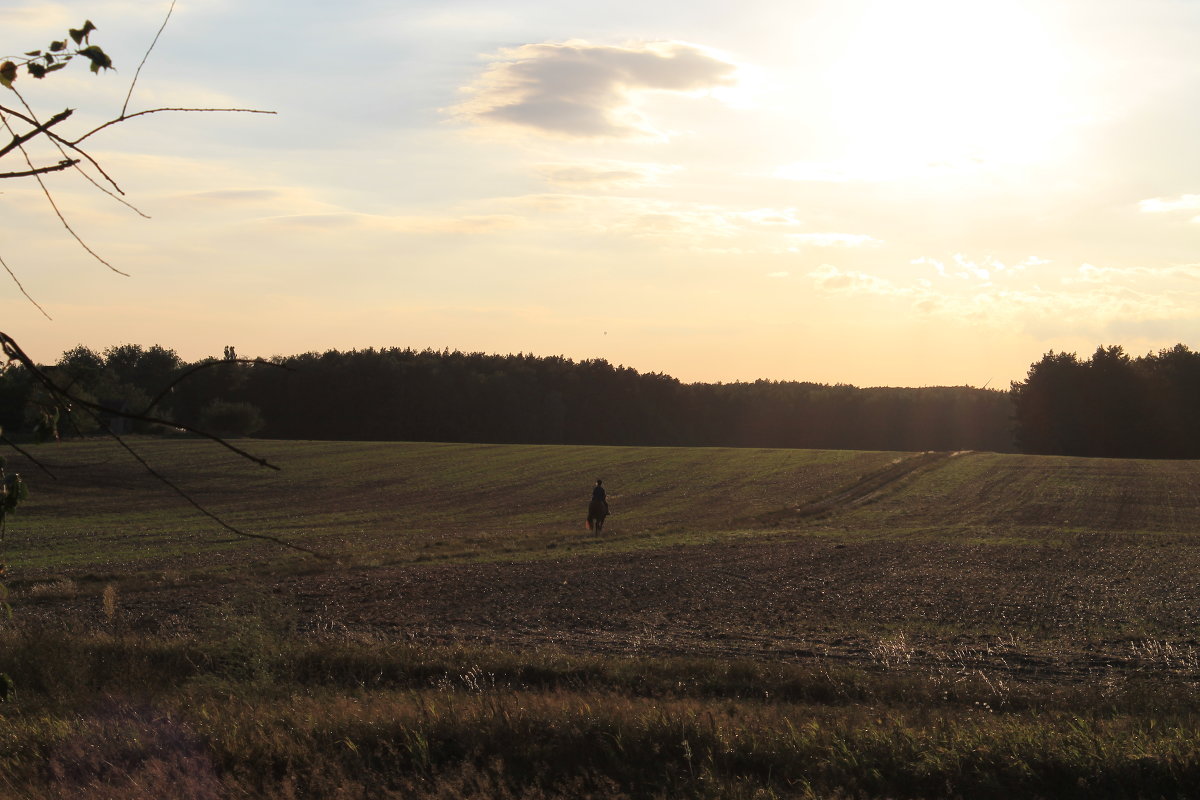 evening field - Konstantin Pervov