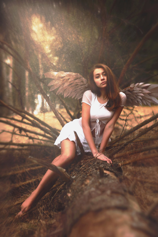 The Fallen angel - Елизавета Иода