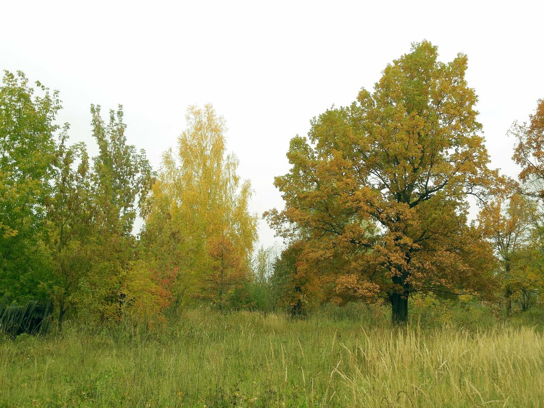 Начало осени - Николай Реснин 