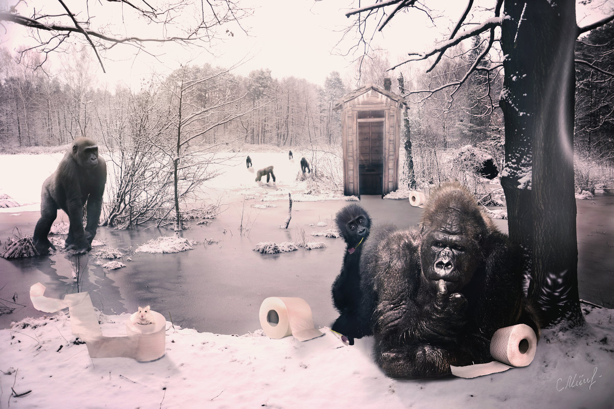 Обезьяны в снежном лесу - Inga Керрен
