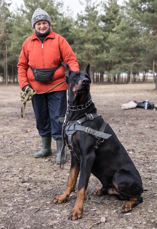 * - Александр Агеев