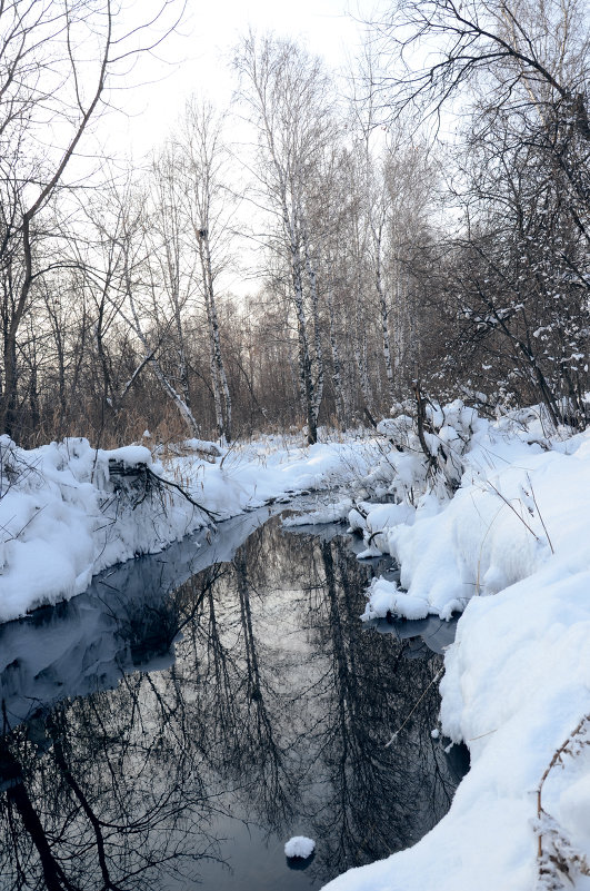 Зимний ручей - Сергей Лошкарёв