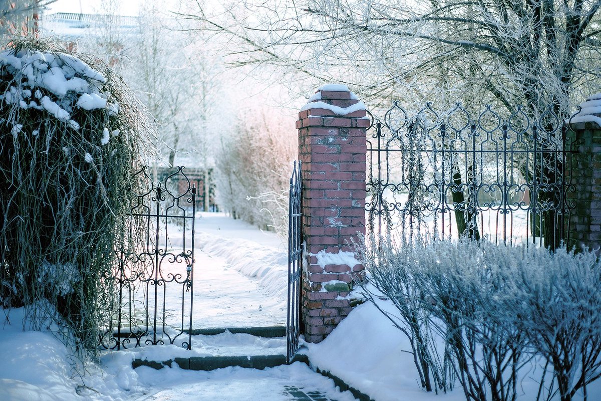 морозный март - Артем Тыдыяков