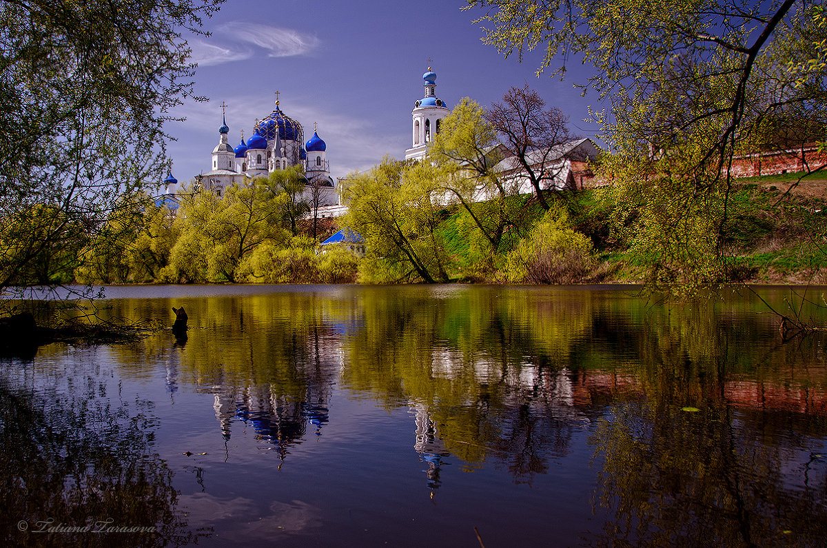 Свято-Боголюбский монастырь - Татьяна Тарасова
