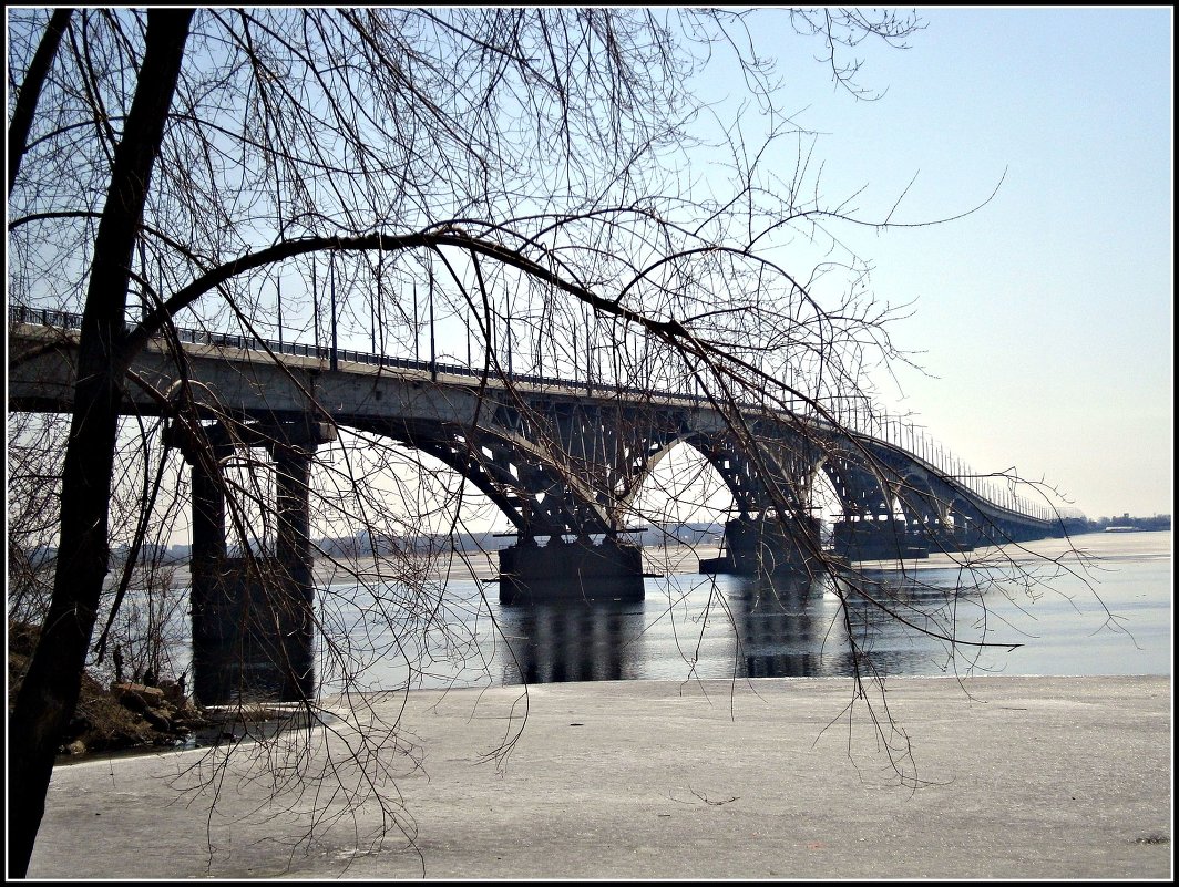 23.03.2014. Саратов. Мост через Волгу - Лариса Коломиец