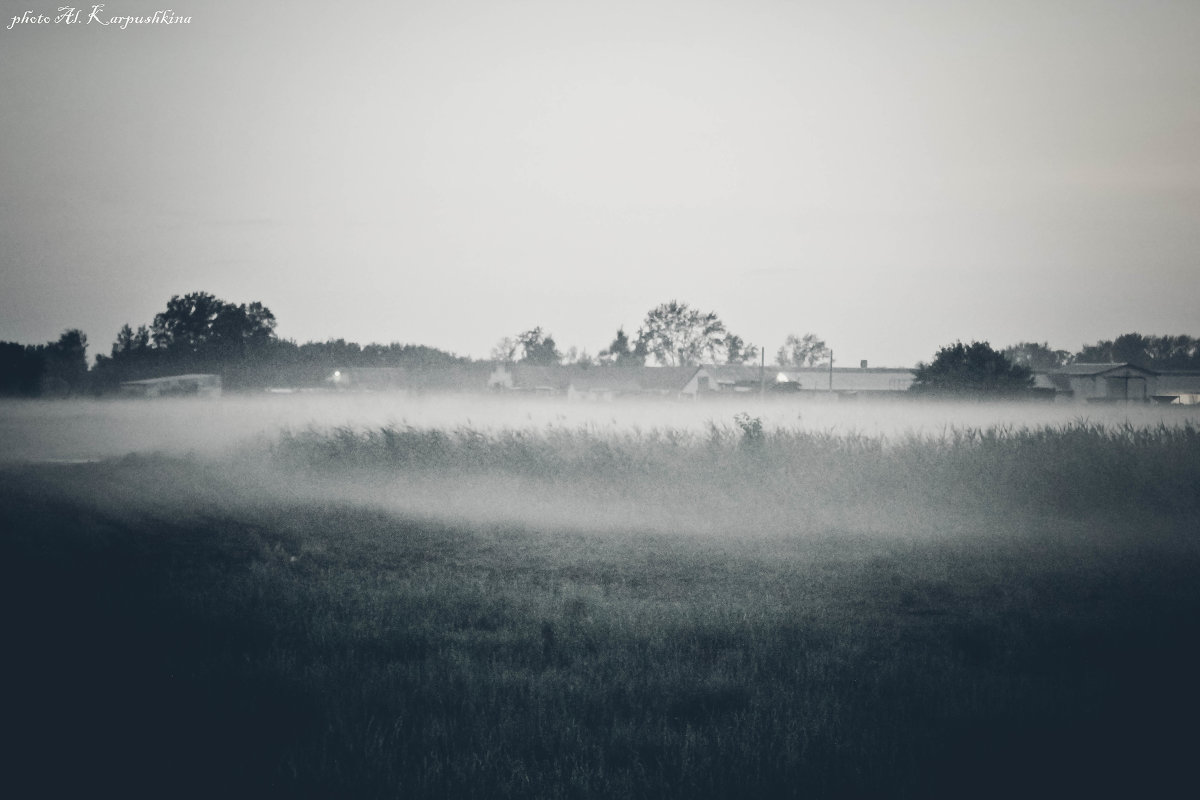 Туман над селом - Александра Карпушкина