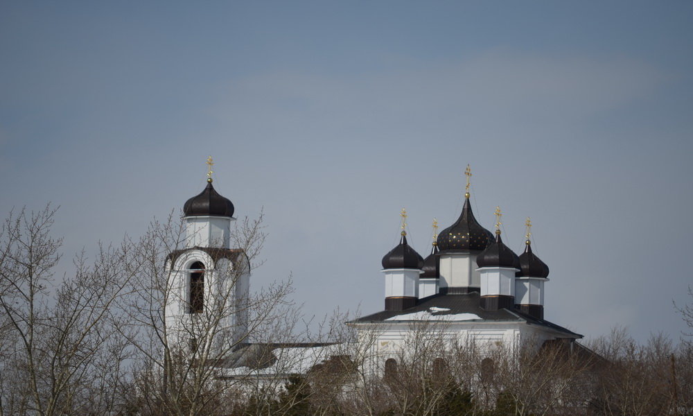 Кирпичный храм с черными куполами