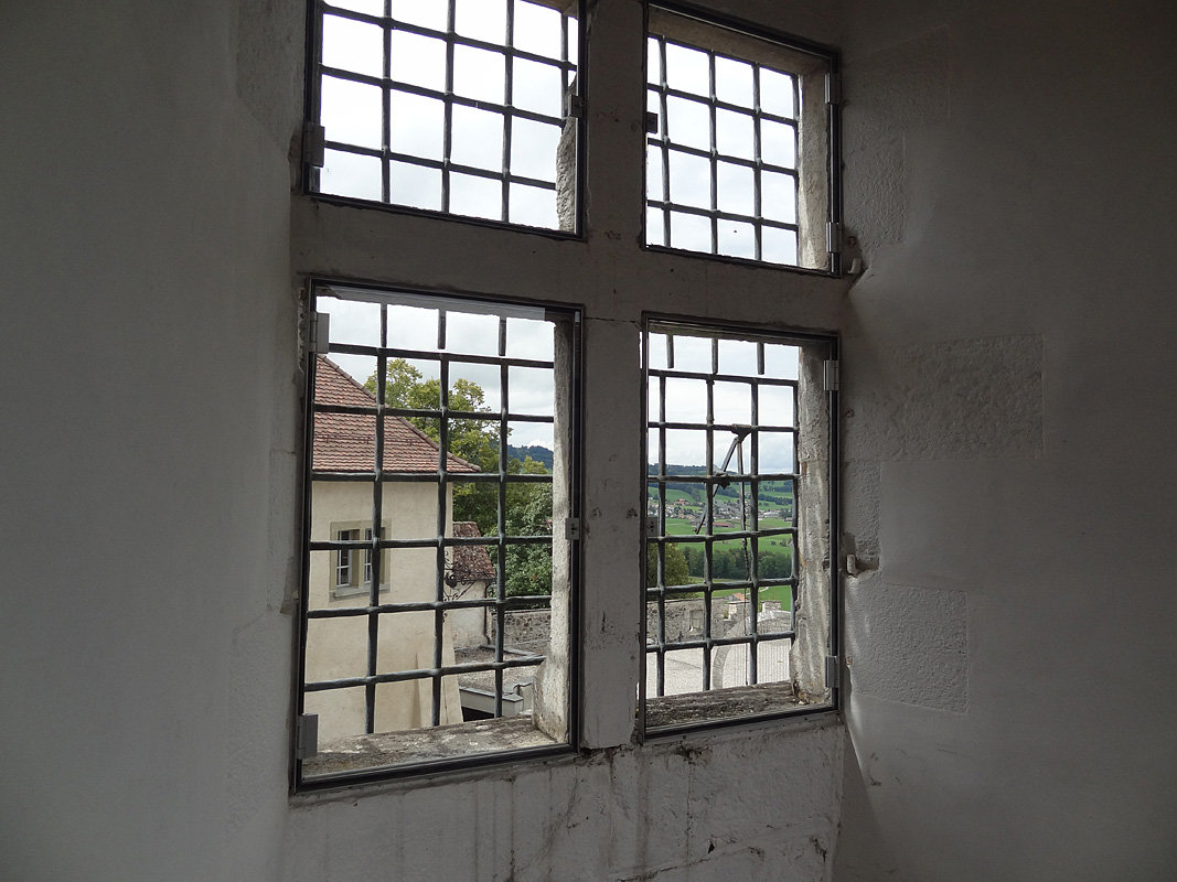 Вид из окна замка Грюйер - Sasha Berg