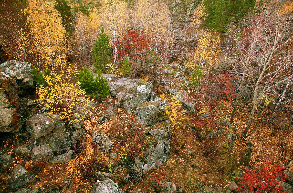 Осень - Александр Коликов