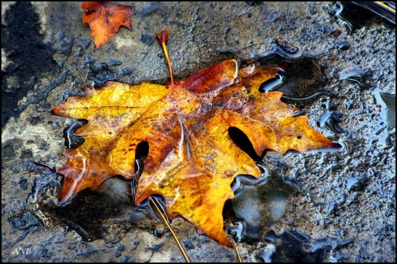 Осень - AVETIS GHAZANCHYAN