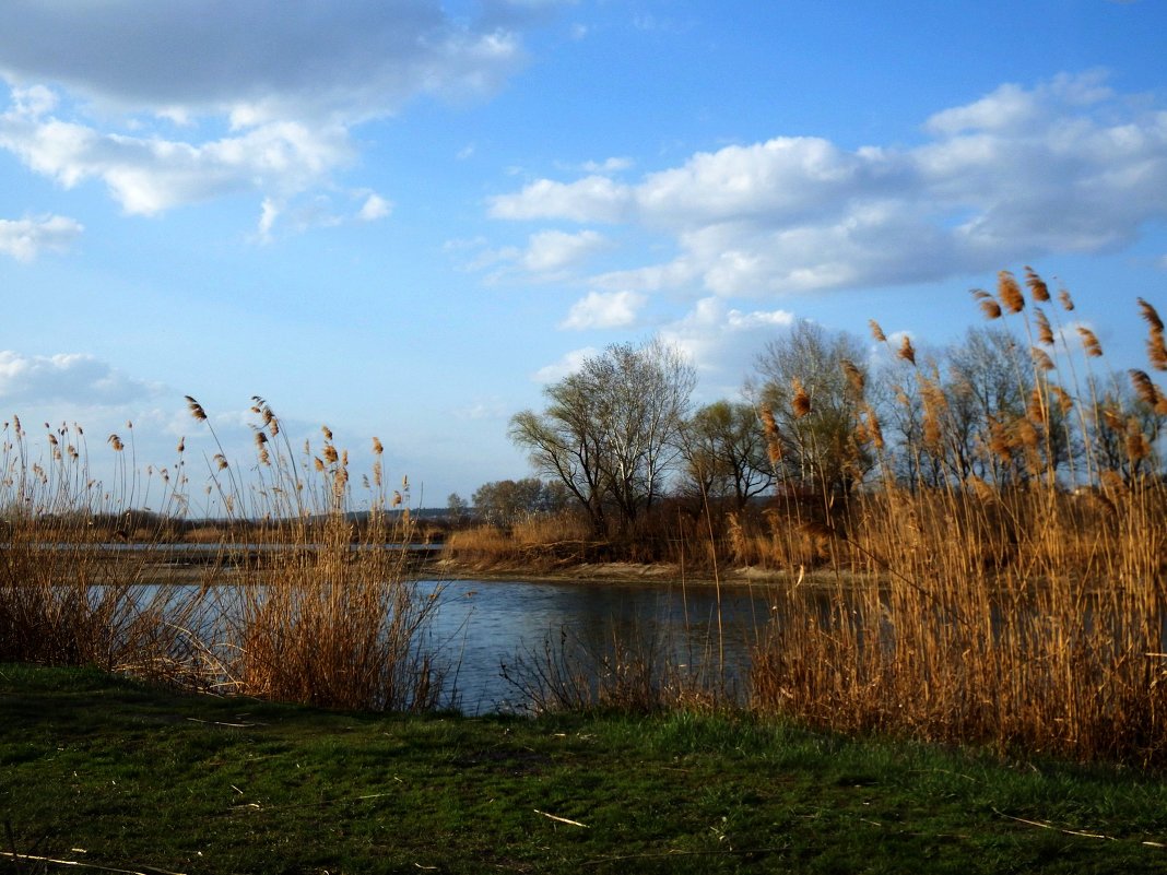 Весной на реке - Marina Timoveewa