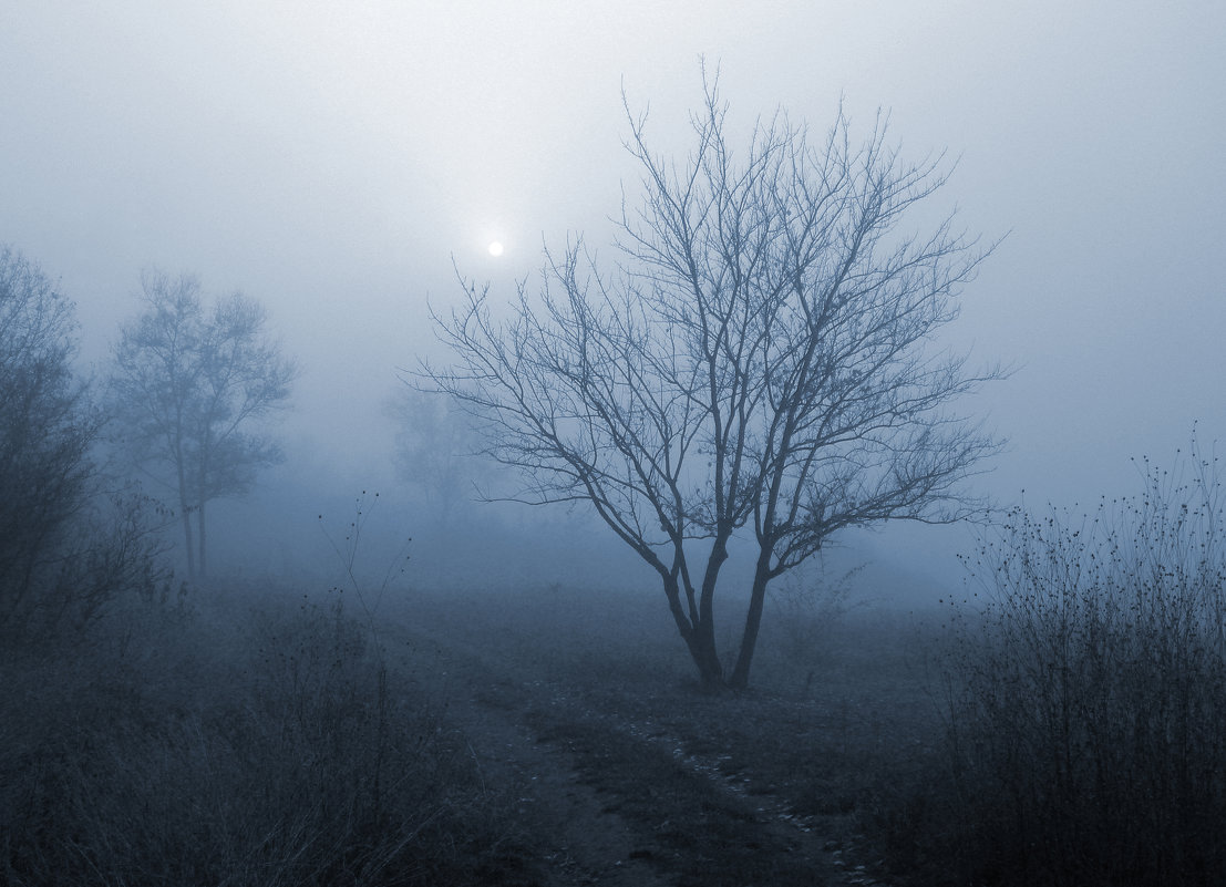 Туманное утро - Эдуард Цветков