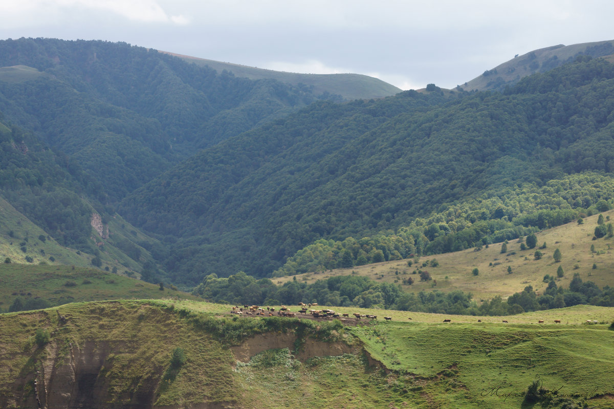 В горах - Мария 