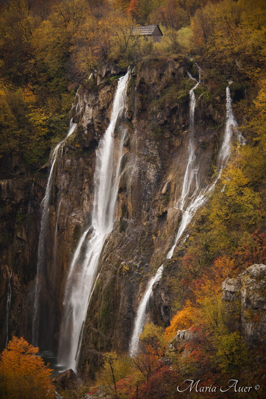 Осень 3 - Мария Ауэр