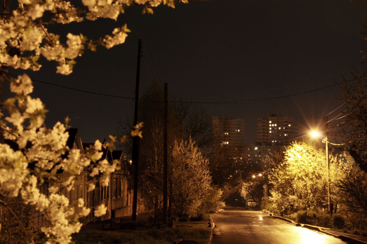 Та же улица ночью - Алексей Кучерюк