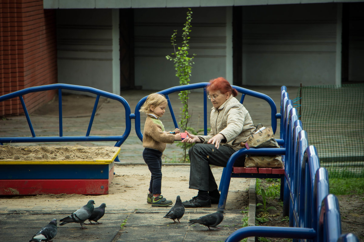 Мы с бабушкой кормили голубей - Михаил Бродский