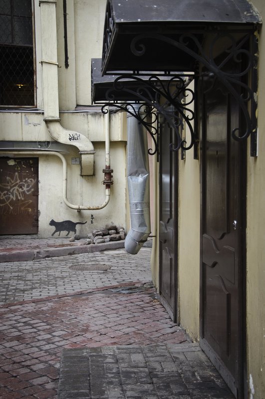 чёрный кот - ник. петрович земцов