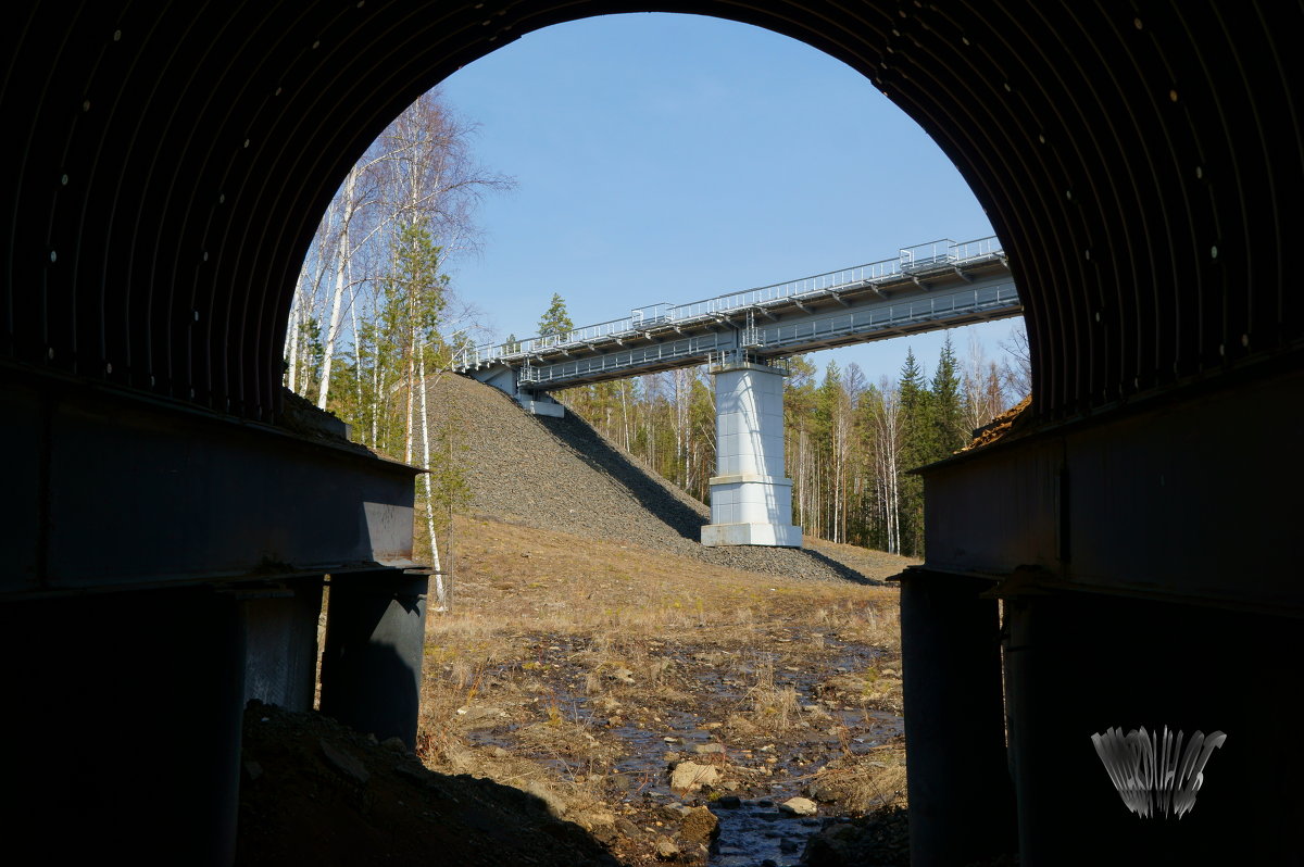 Взгляд из туннеля - Сергей Шаврин
