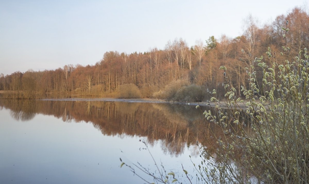 Берег озера в лучах заходящего солнца - Владимир Фомин