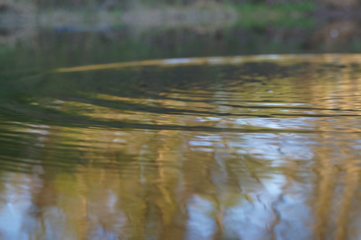 водные круги - Сергей 