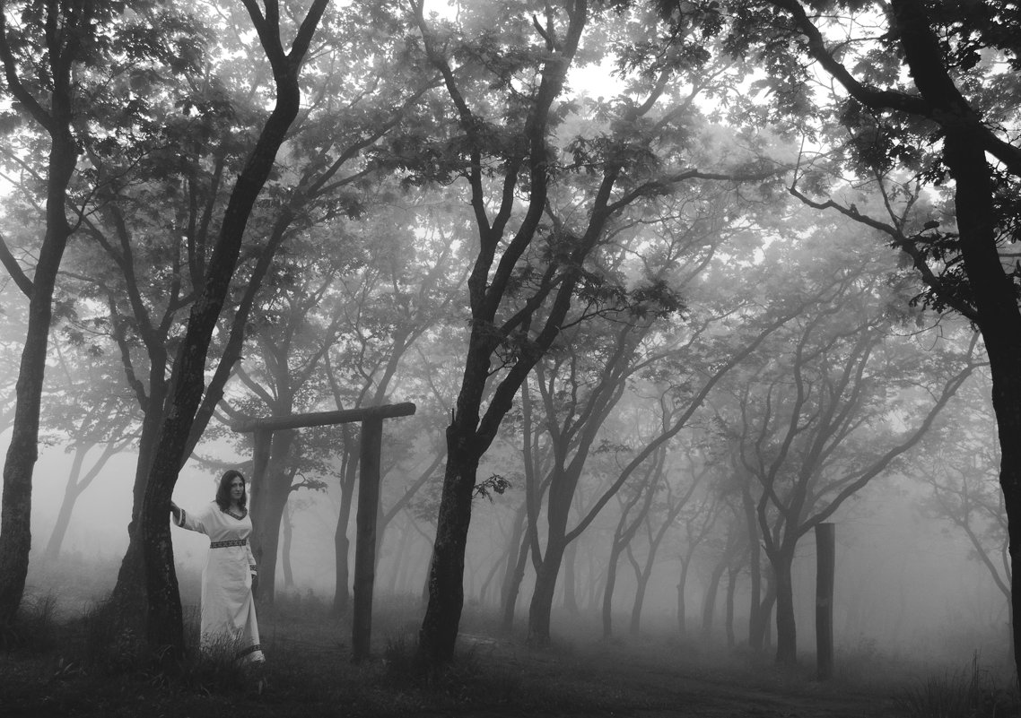 Путь через туман (заменена на более высокое качество) - Алена Маринц