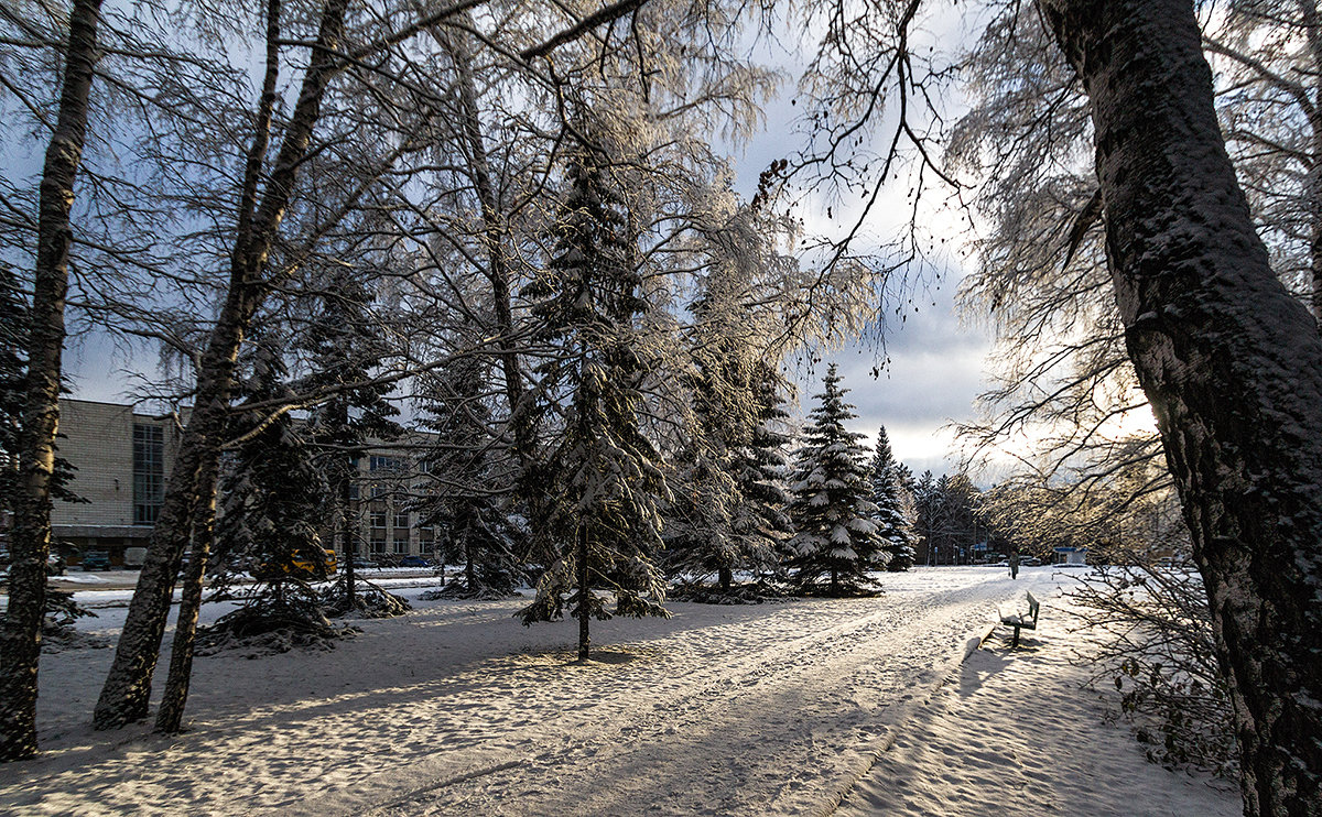 парк в академгородке