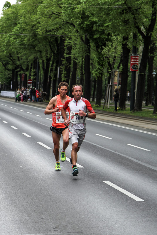 Ежегодный Венский марафон - julic10 