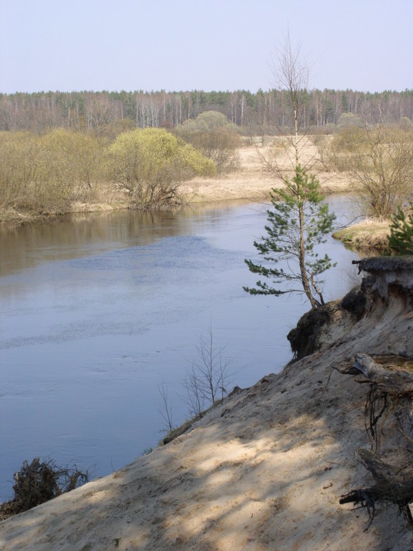 Река Луга. Весна - Нименская Елена 