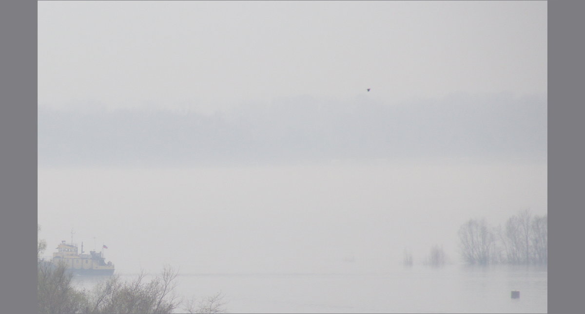 Туман на реке - Арсений Корицкий