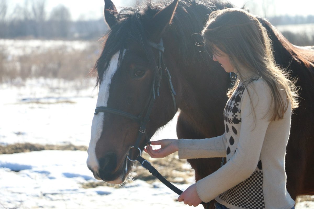 Прогулка с лошадью - Irina Rykova