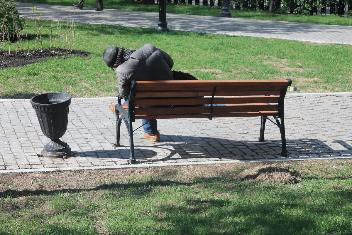 Весна вернулась... - Владимир  Зотов 