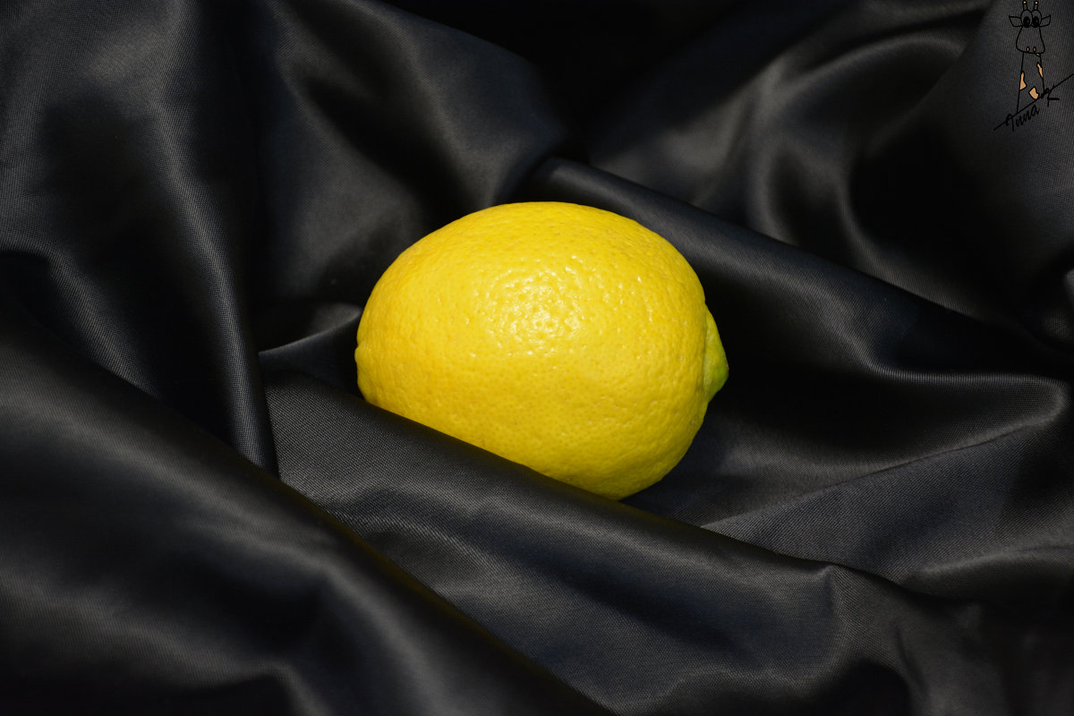 lemon - Inna Kuzmitsky