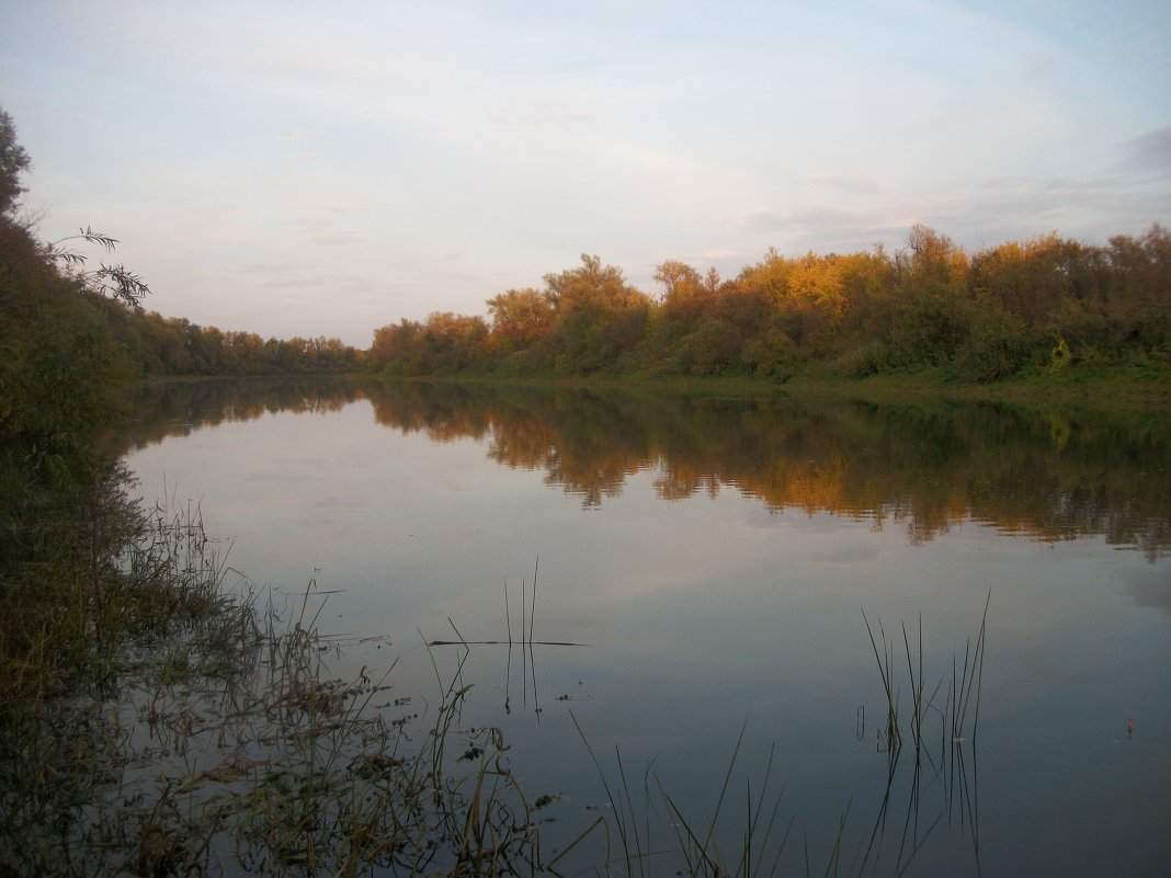 Осенняя река - Анна Наумова