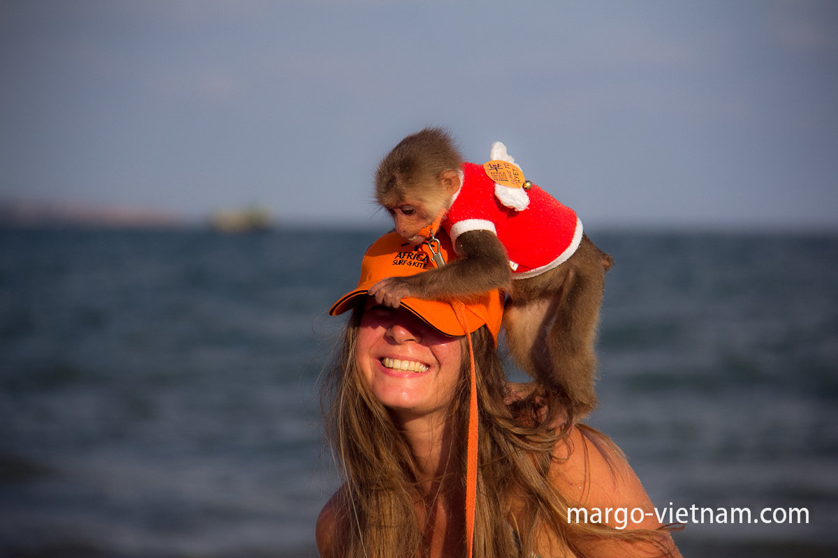 Маленькая обезьянка Коко и Яна - Наталья Краснюк