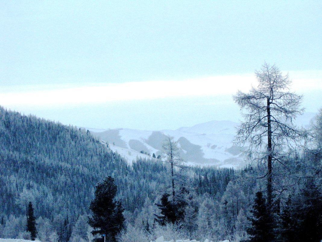 Зима в горах - Ольга Иргит