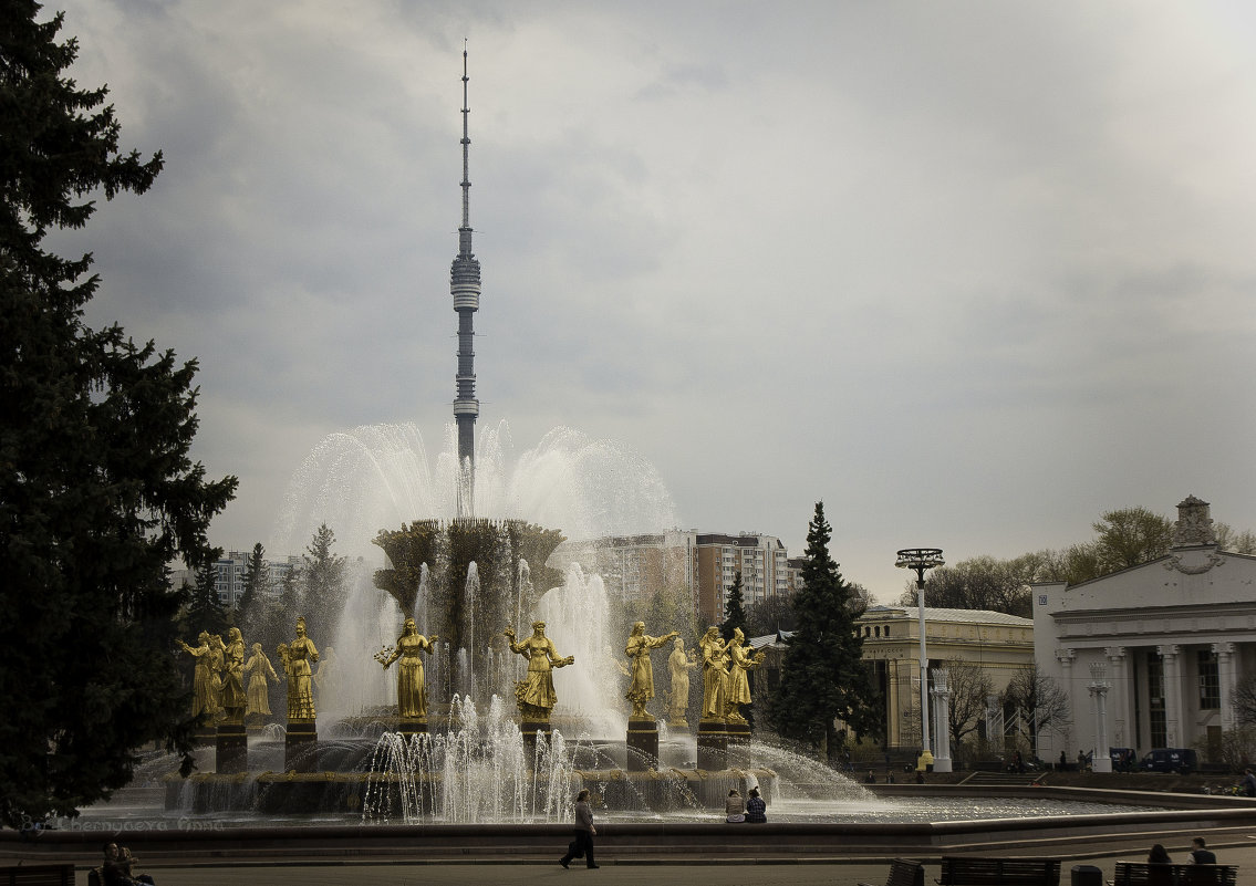 Новый взгляд на Останкинскую башню - Анна Черняева