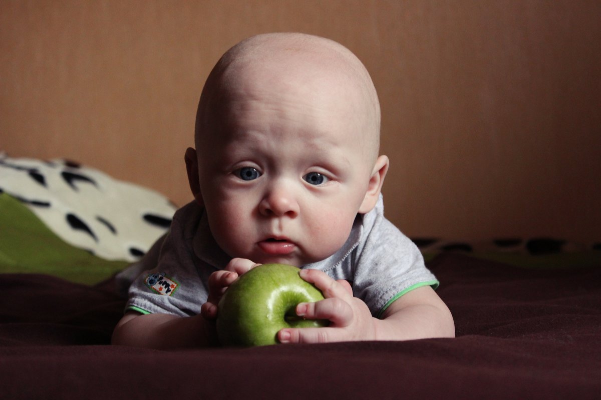 Яблочный малыш - Анна Бойцова